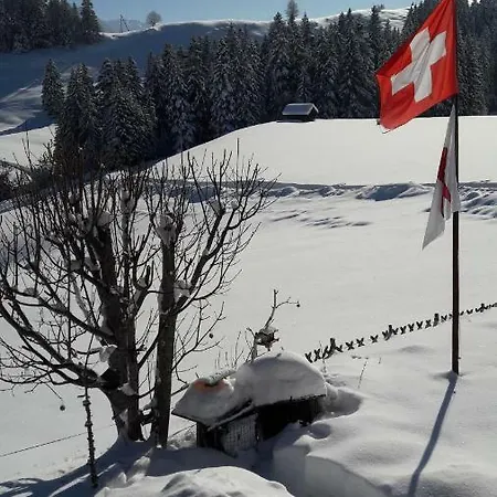 Apartment Ferienwohnung ''alpenluft'' In Zweisimmen, Natur-pur *