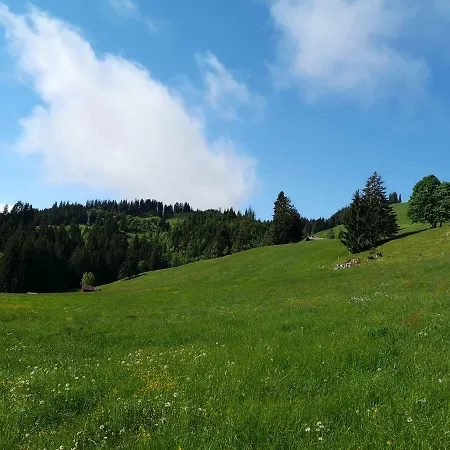 Apartment Ferienwohnung ''alpenluft'' In Zweisimmen, Natur-pur