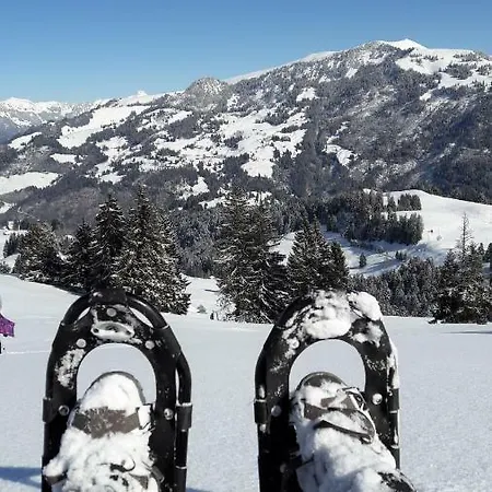 Appartement Ferienwohnung ''alpenluft'' In Zweisimmen, Natur-pur