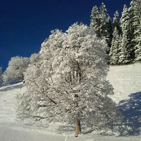 Ferienwohnung ''alpenluft'' In Zweisimmen, Natur-pur * Boltigen